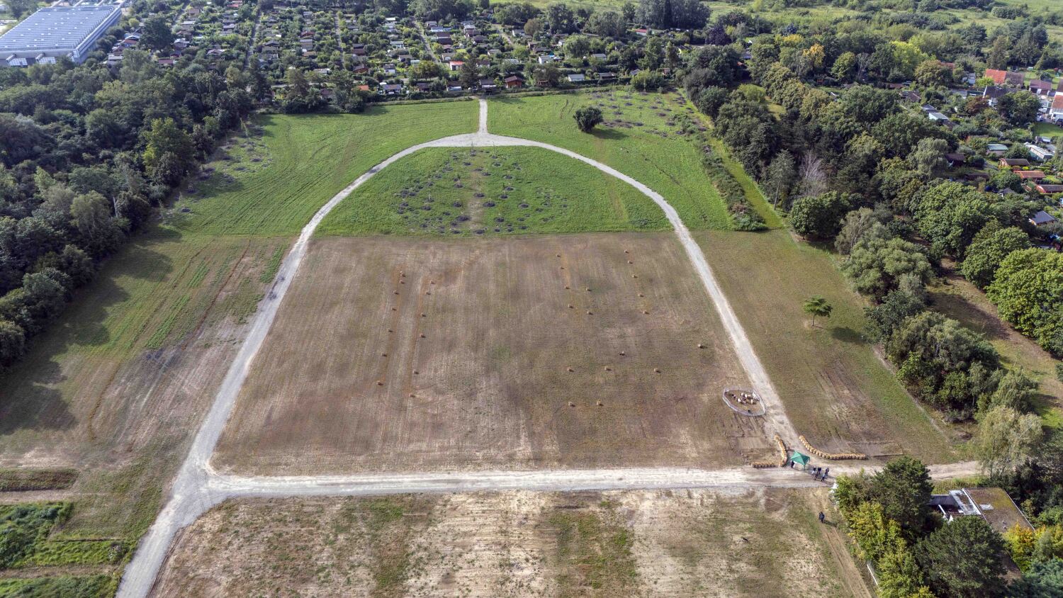 Draufsicht auf ein großes bepflanztes Feld