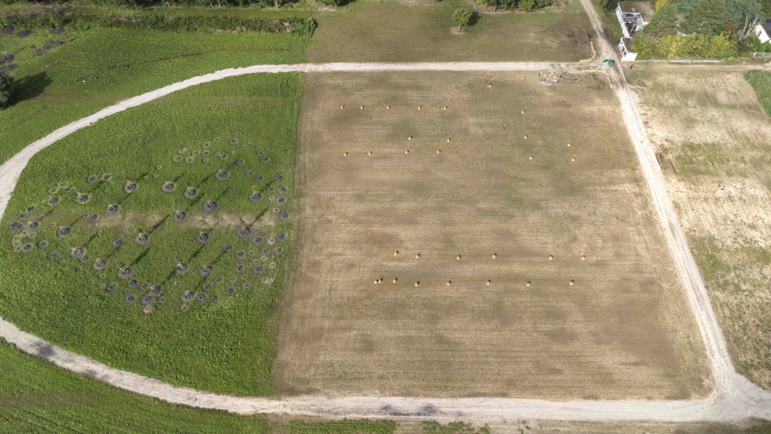 Draufsicht auf ein großes bepflanztes Feld
