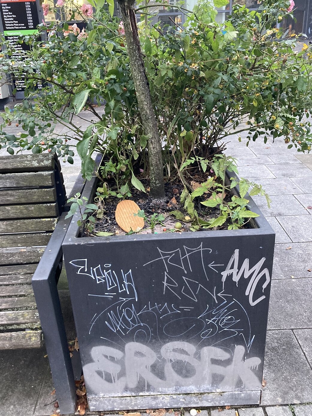 ein mit Graffiti beschmierter Blumenkübel