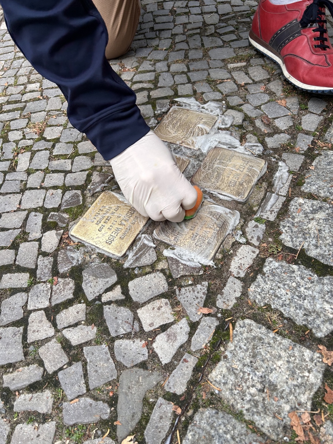 Jemand putzt fünf in den Boden eingelassene Stolpersteine.