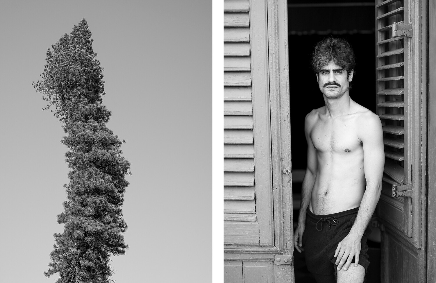 Zwei Fotografien in schwarz-weiß; links ist ein Baum mit einer Wölbung; rechts ist ein Mann, dessen Körper sich in der gleichen Position befindet.