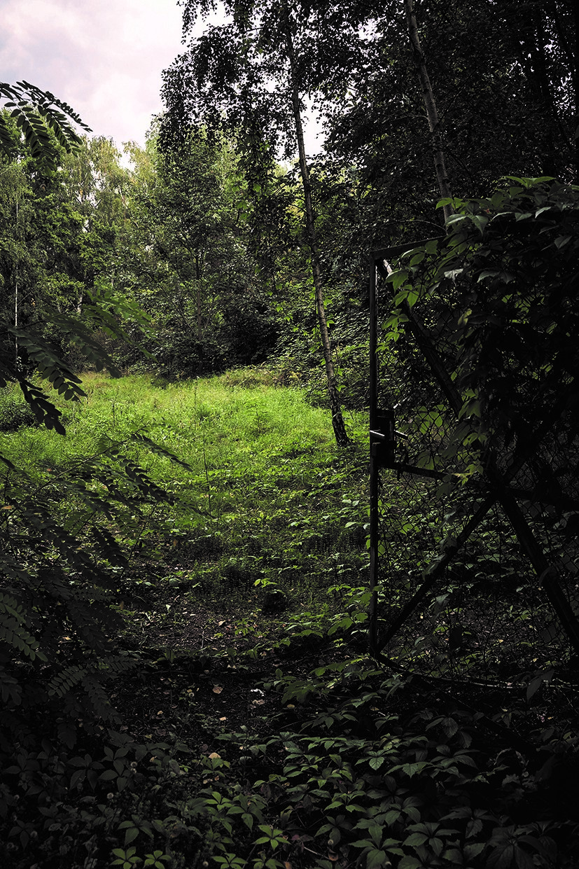 Ein offenes Tor vor einem zugewachsenem Grundstück.