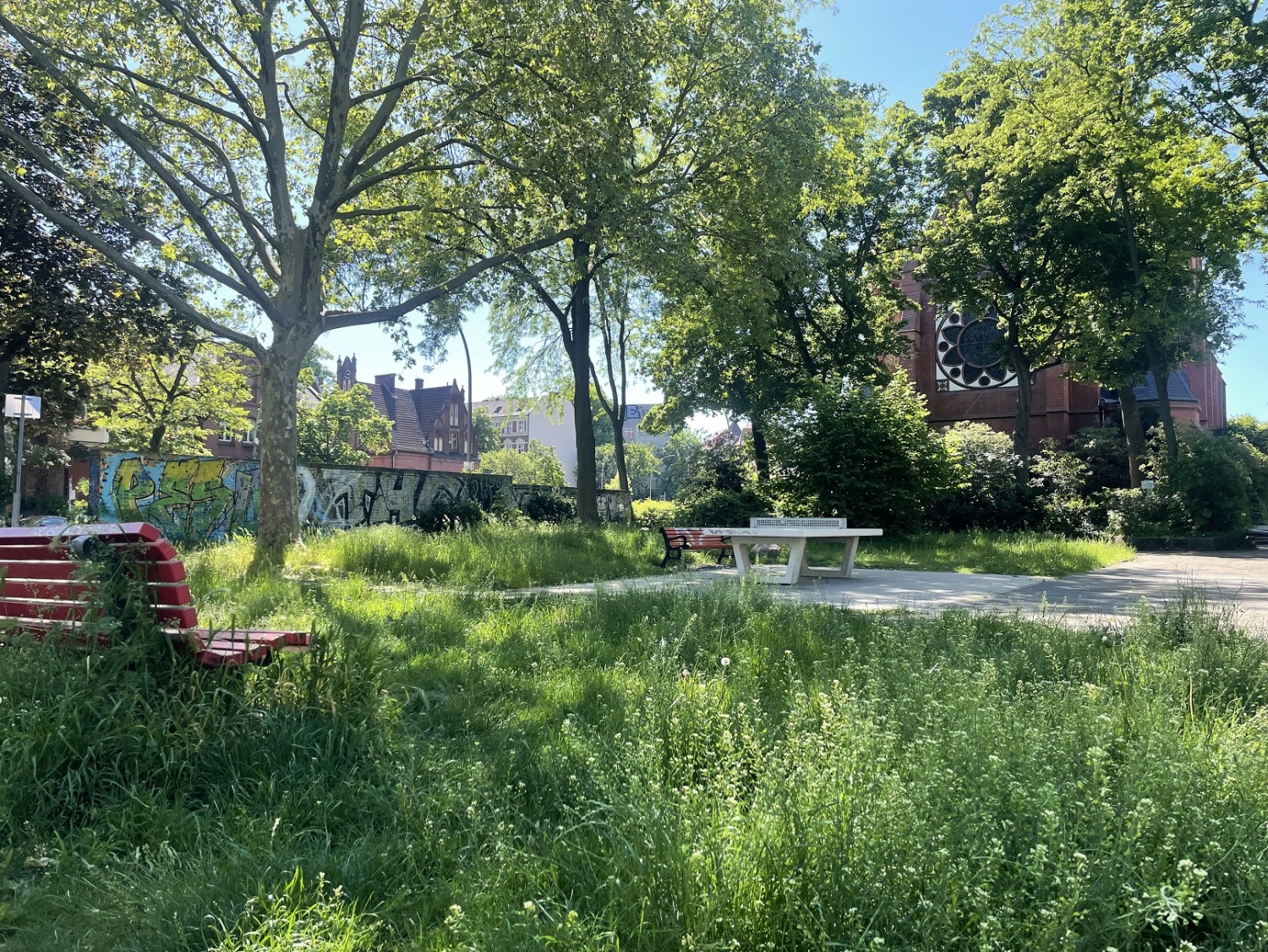 ein Park mit hohem Gras und einer Tischtennisplatte