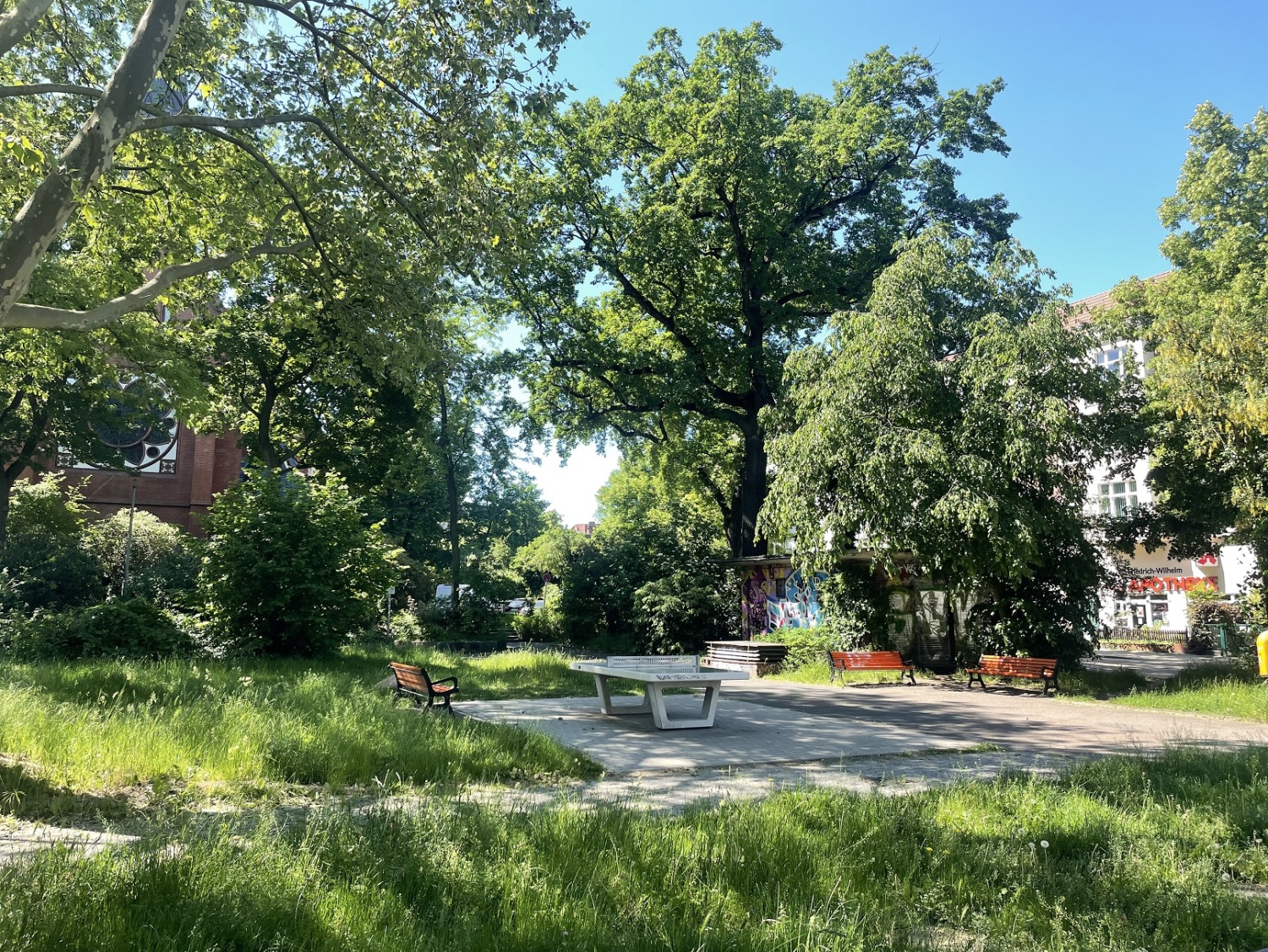 ein Park mit hohem Gras und einer Tischtennisplatte