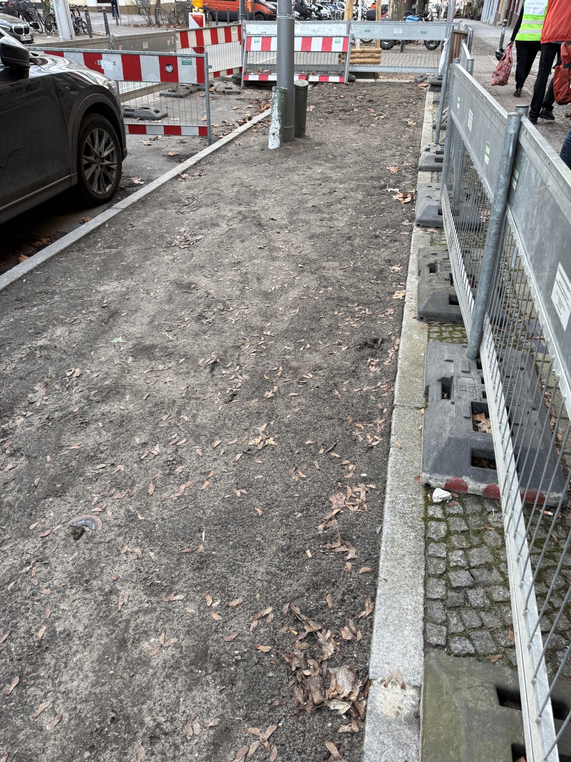 Entsiegelte Fläche in der Langenscheidtstraße
