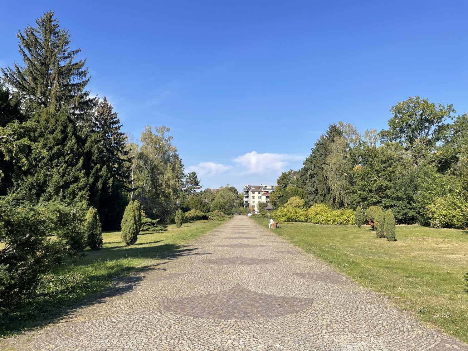 Gepflasterter Weg Heidefriedhof