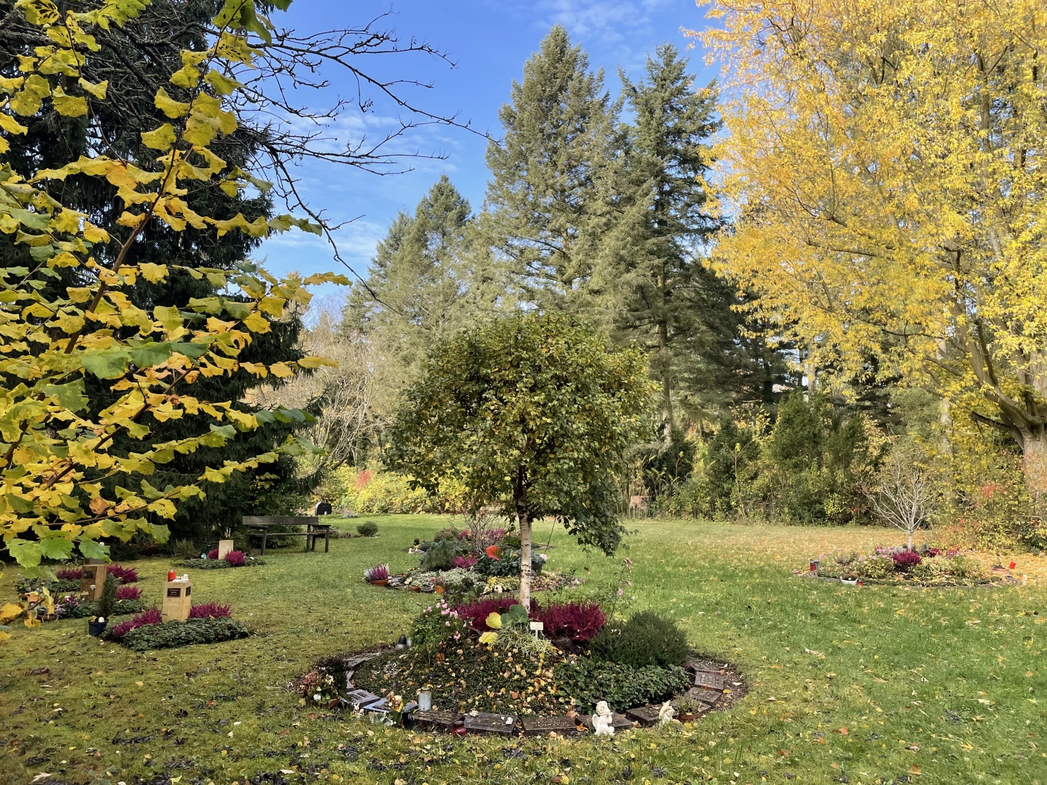 Aschengemeinschaftsgräber unterm Baum