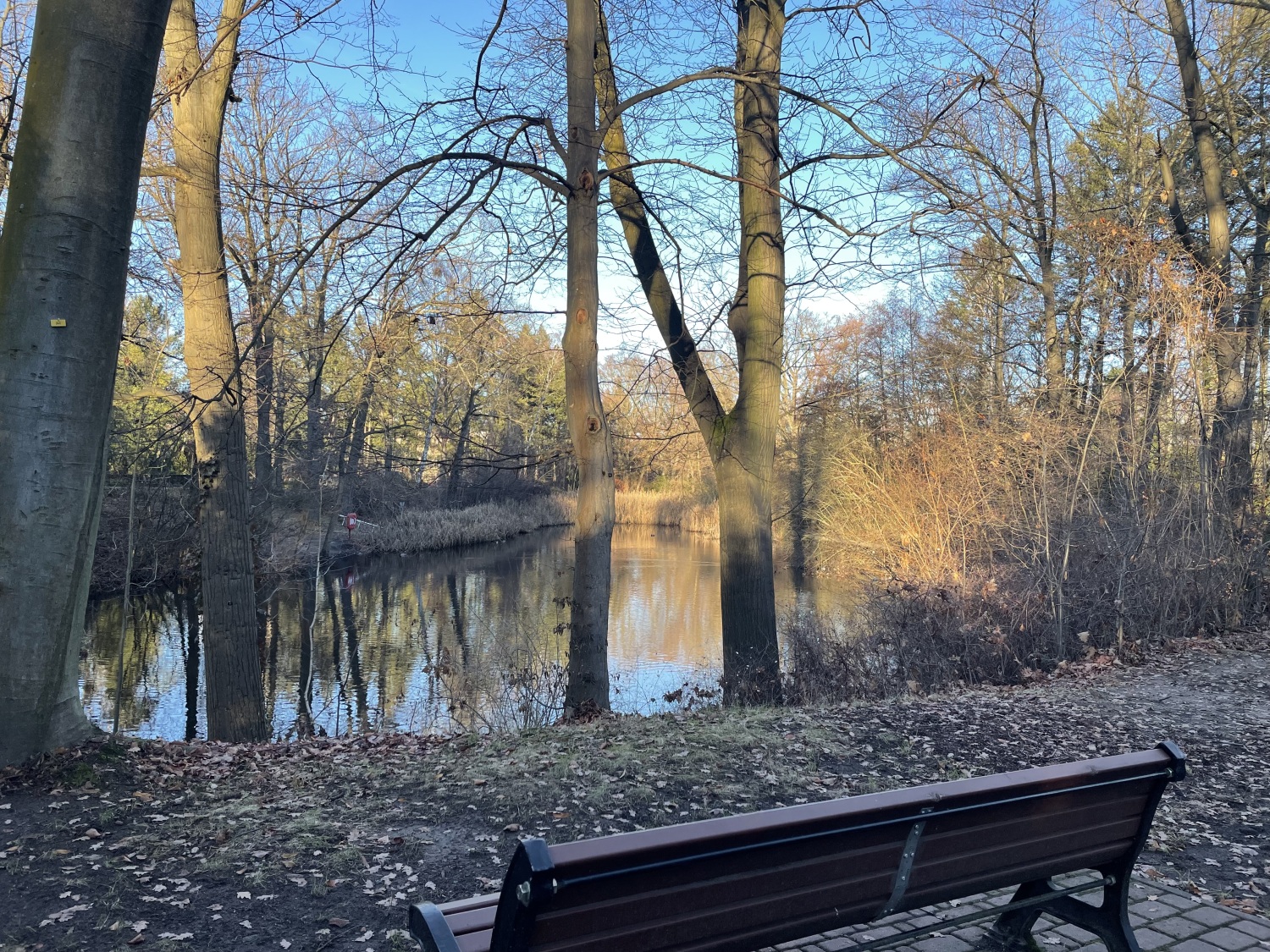 Blick auf den Pfuhl im Herbst