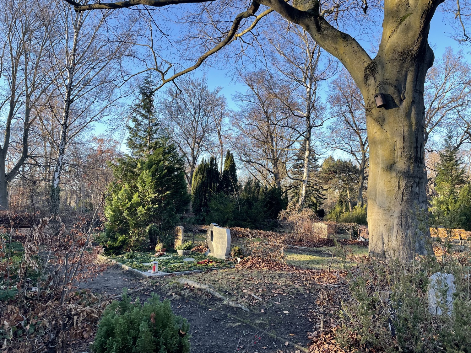 Gräber Friedhof Eythstraße
