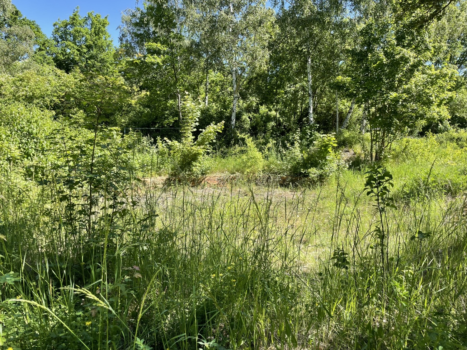 Spielplatzgelände Britzer Wiesen im Sommer