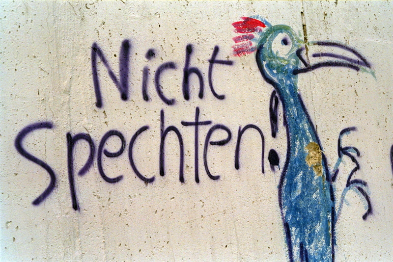 eine besprühte Betonwand mit einem Sprecht und der Aufschrift "Nicht Spechten!"