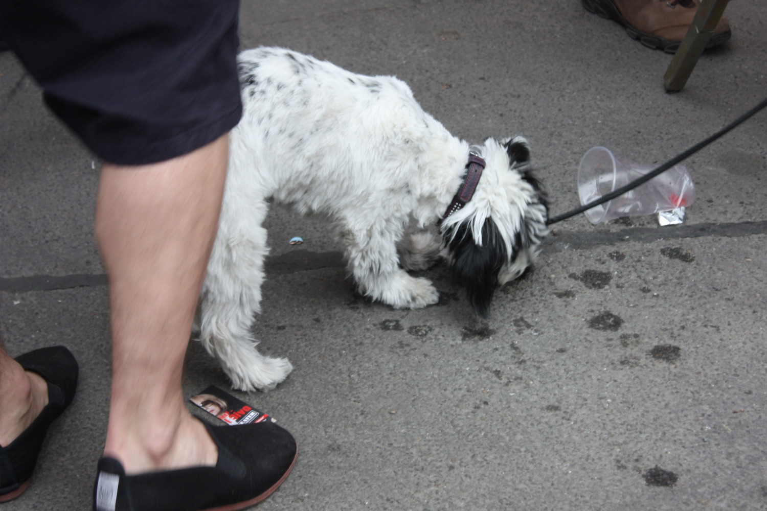 Stadtfest 2013 32
