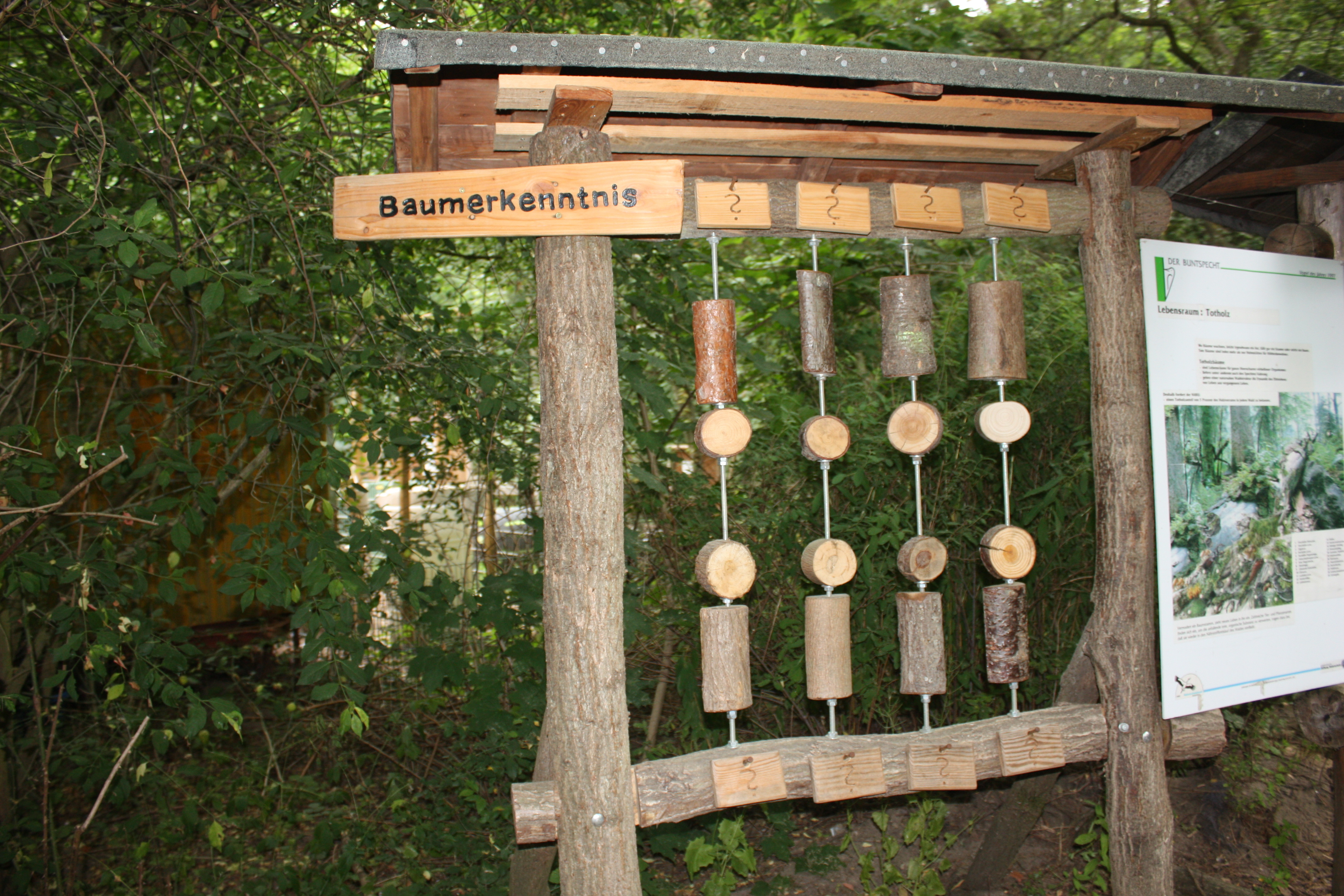An der "Baumerkenntnis" können die BesucherInnen ihr Wissen rund um die verschiedenen Baumarten testen und erweitern