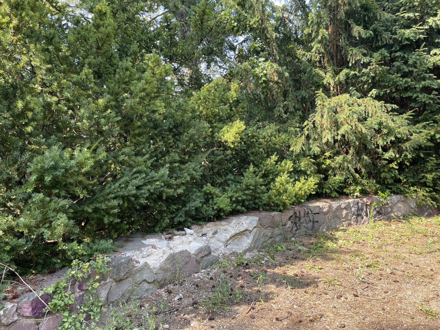 Schäden Aussichtsplattform Marienhöhe