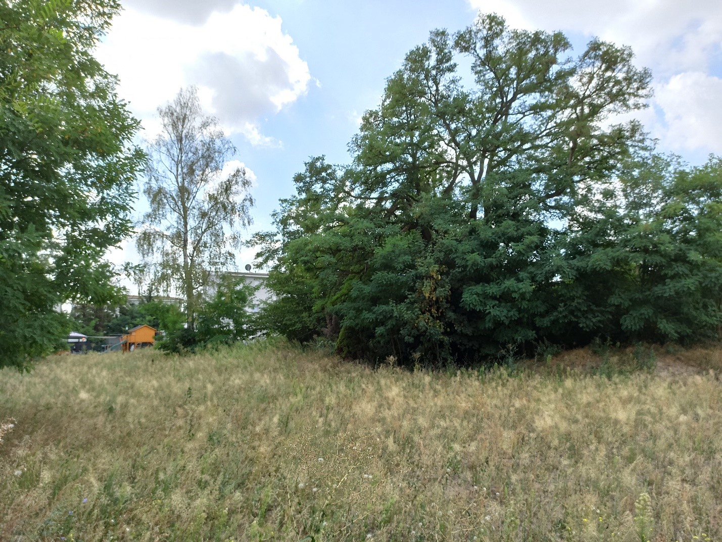 Unbebaute Fläche Nuthestraße 25