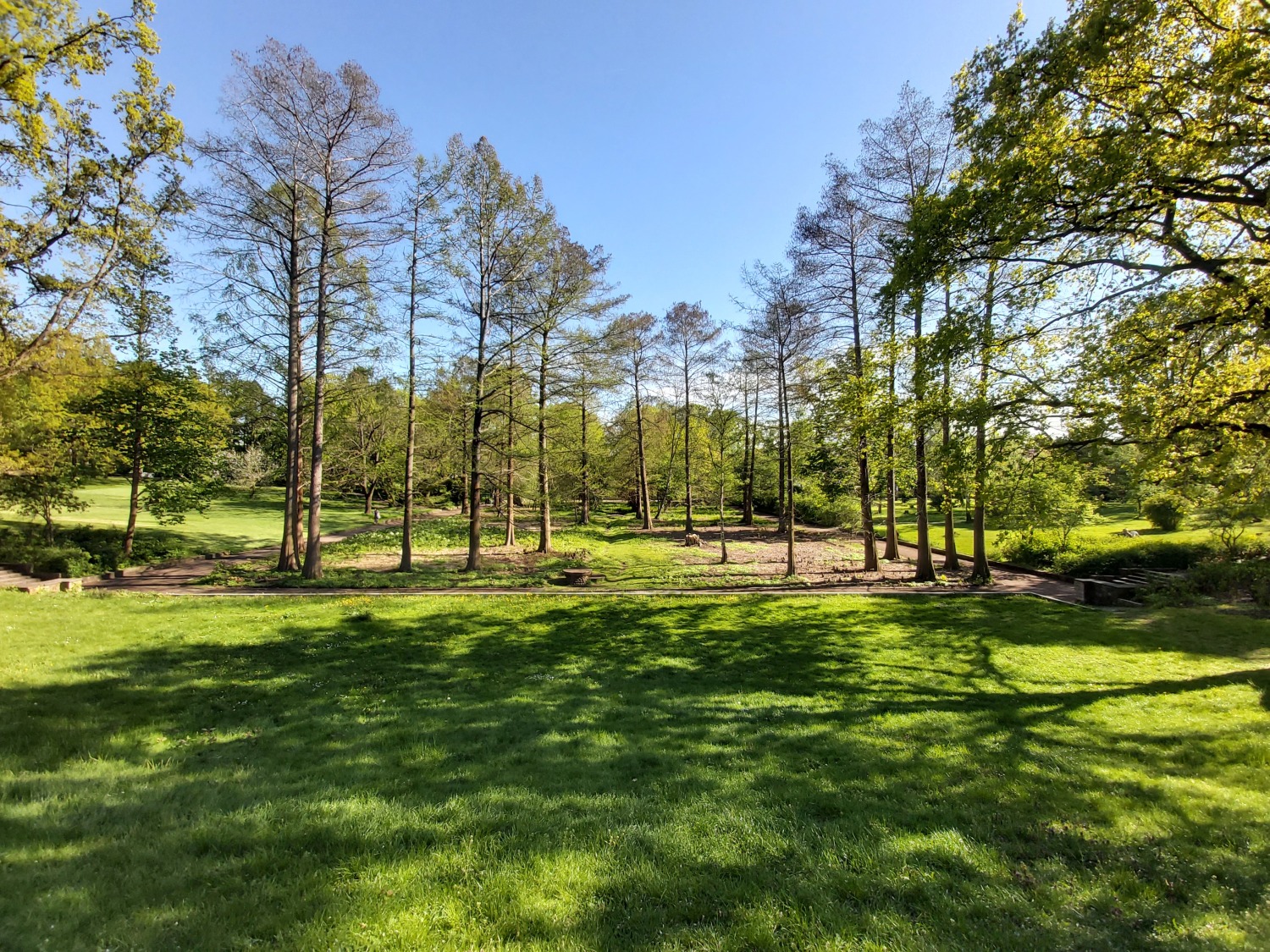 Freigeschnitte Sichtachse am Sumpfgarten