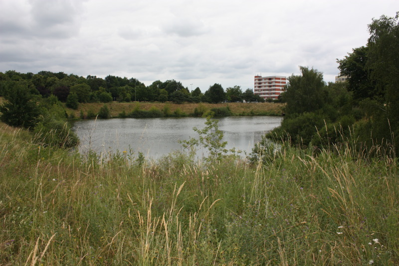 Ein Teich im Freizeitpark Marienfelde
