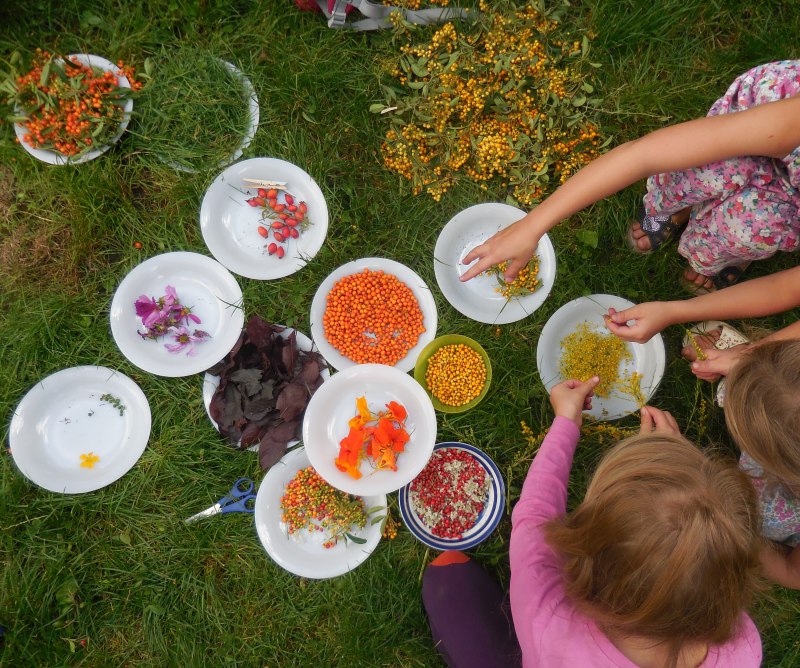 Kinder produzieren Farbe aus natürlichen Rohstoffen 