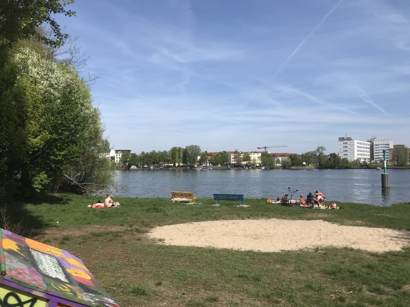 22_04_2018_Muellerecke_Sanflaeche