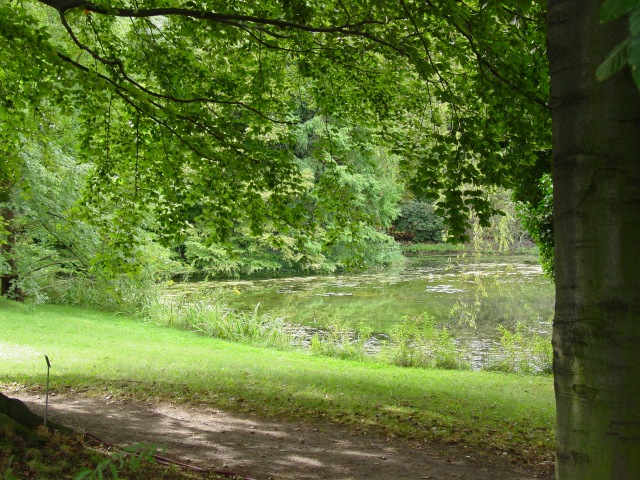 Arboretum