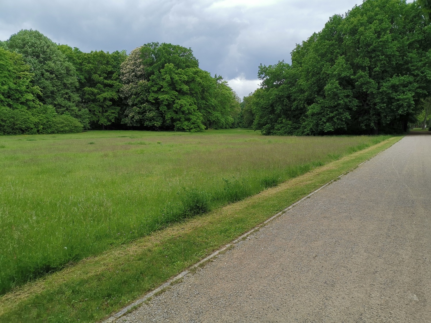 Spargelwiese im Treptower Park - extensive Seite