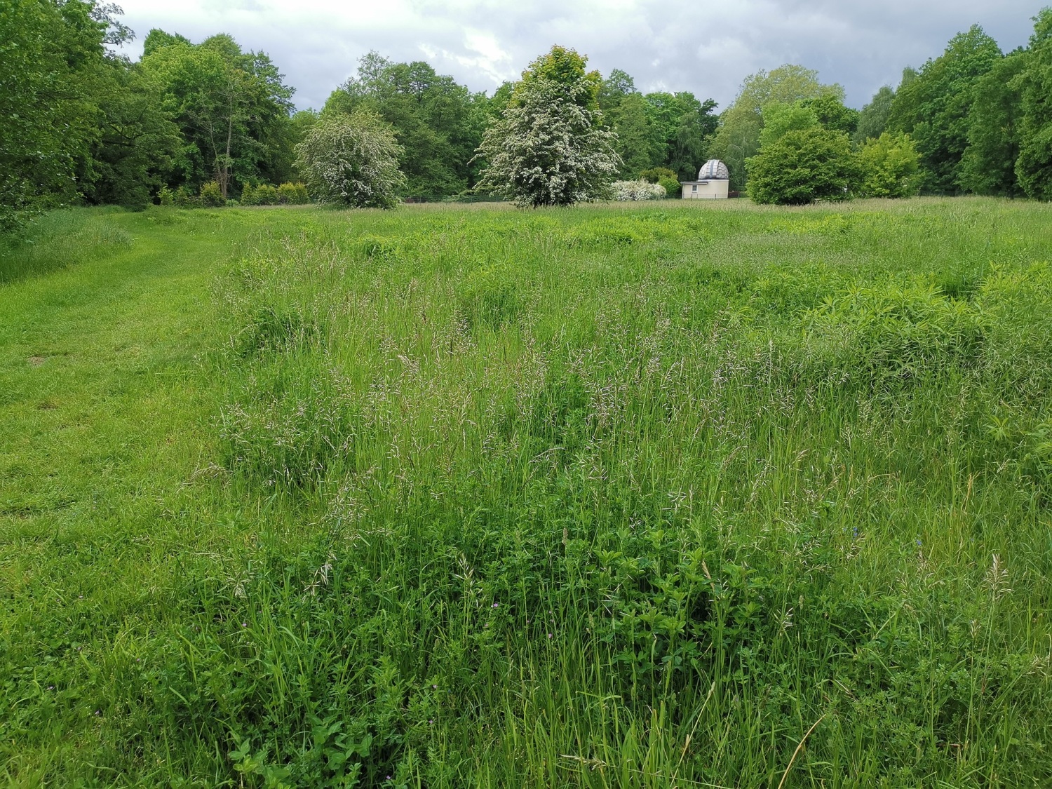 Treptower Park - Blick auf Sternwarte
