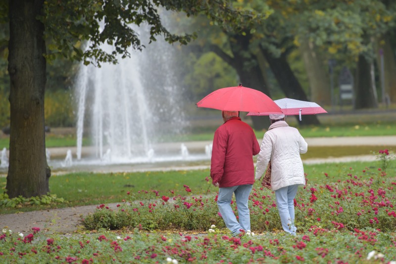 Spazieren durch den Rosengarten
