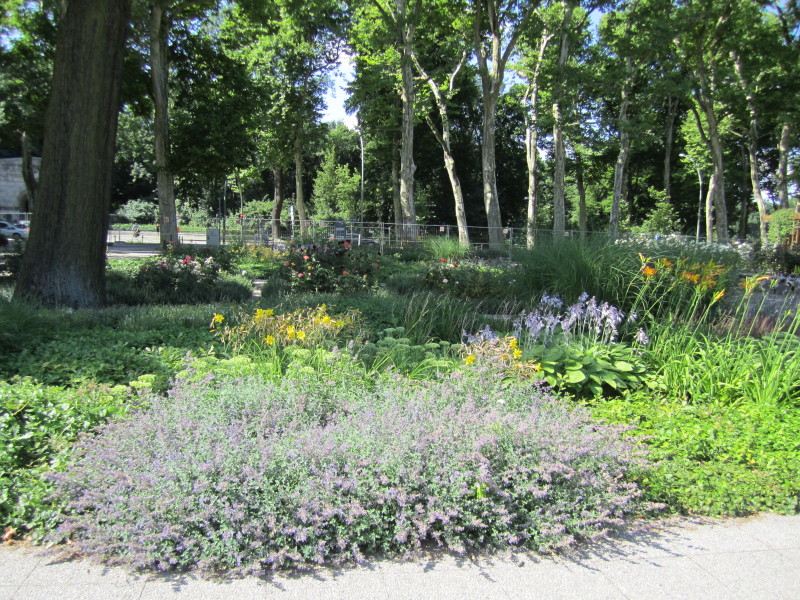 Rosengarten im Treptower Park - Pergola