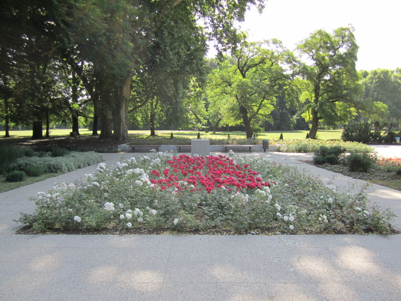 Rosengarten im Treptower Park - Seerosenbecken