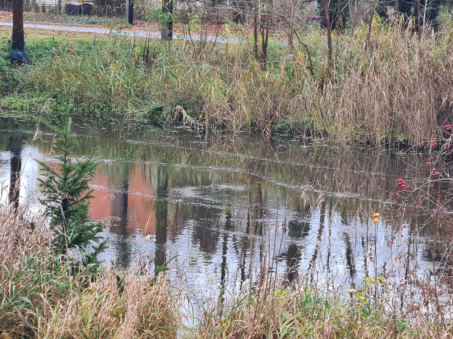 Einrichtung des DRAUSY-Systems im Dorfteich Karolinenhof