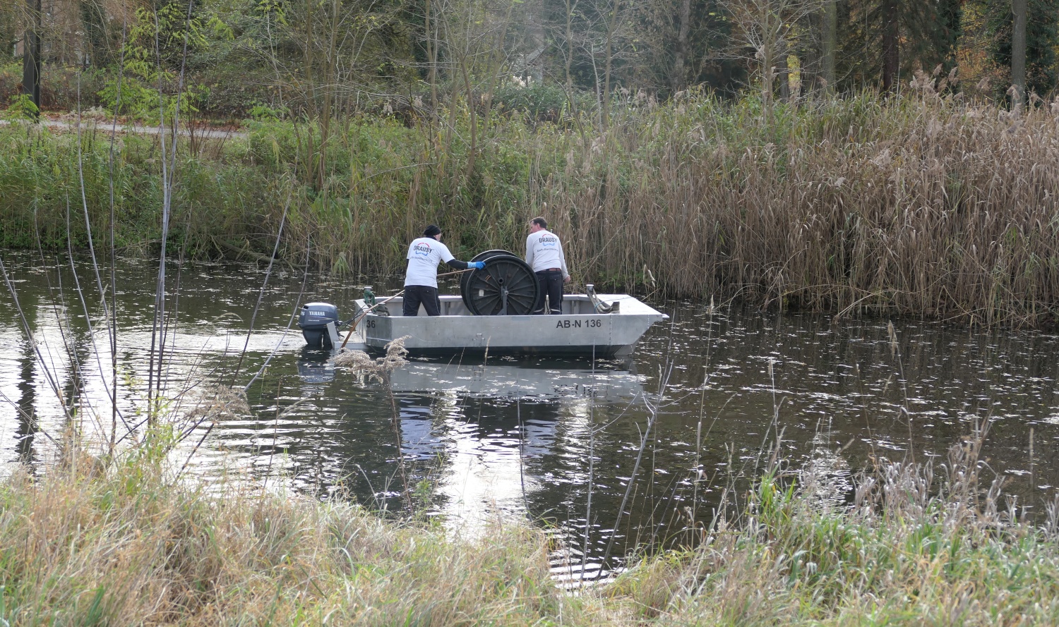 Einrichtung des DRAUSY-Systems im Dorfteich Karolinenhof