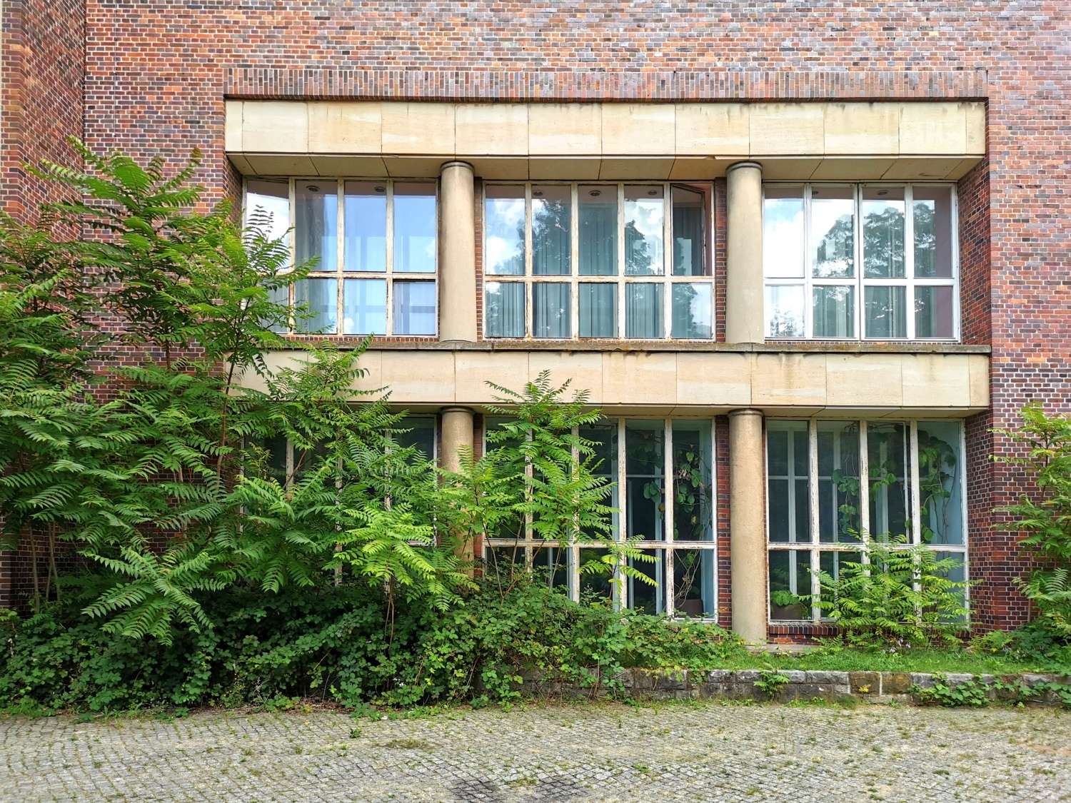 Götterbaume vor Gebäude