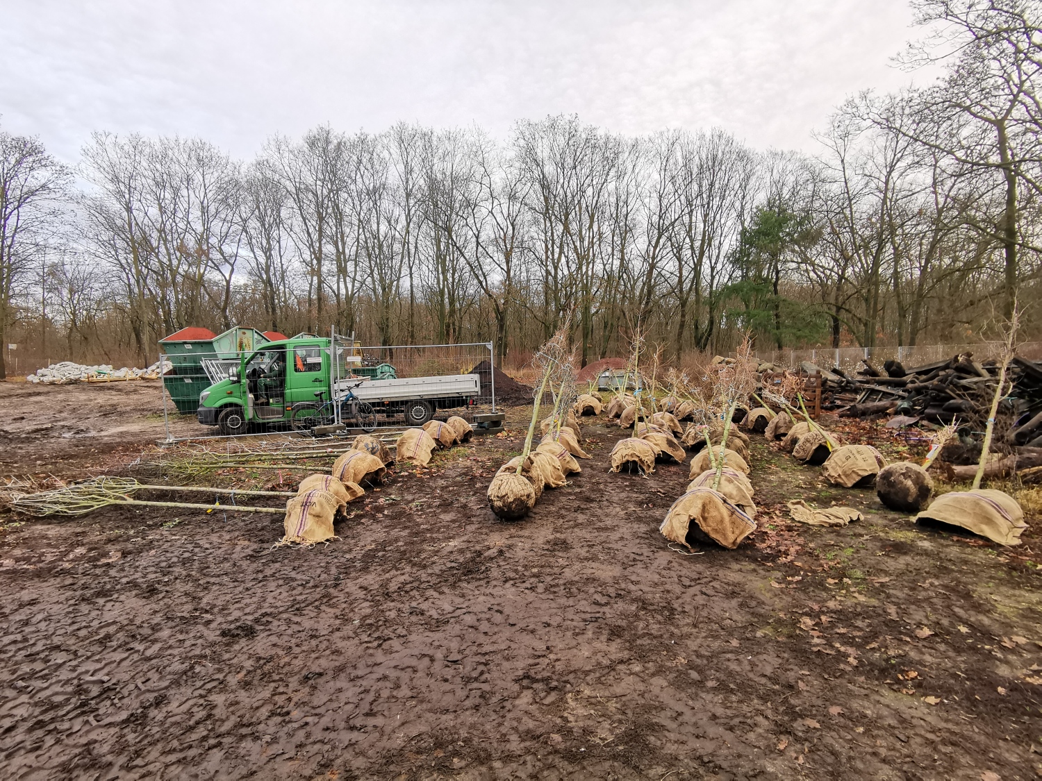 Anlieferung Hausbäume 2025