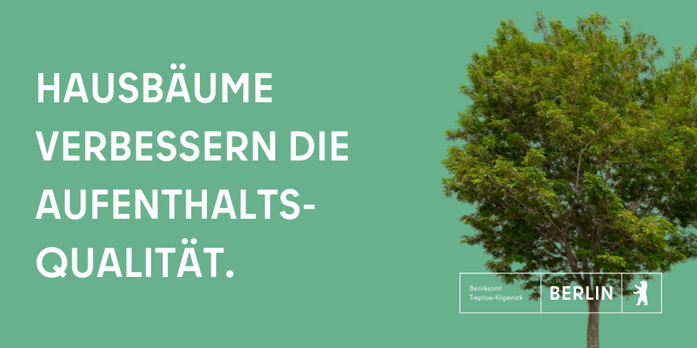 Hausbäume verbessern die Aufenthaltsqualität.