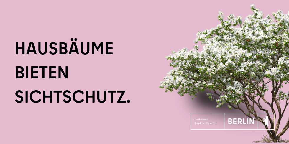 Hausbäume bieten Sichtschutz.