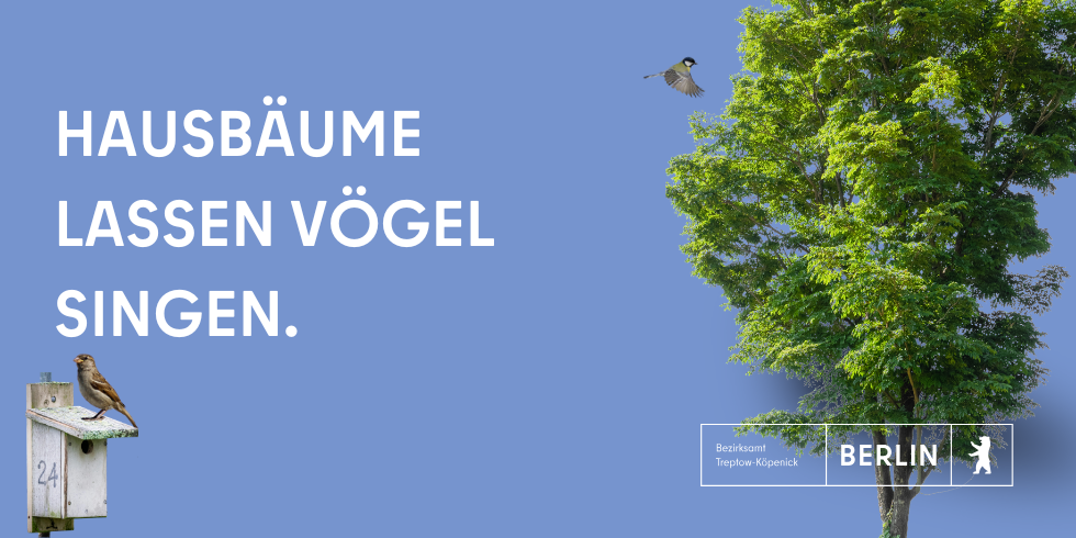 Hausbäume lassen Vögel singen.