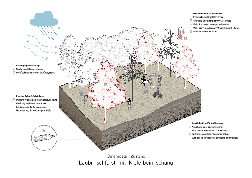 Laubmischforst gefährdeter Zustand