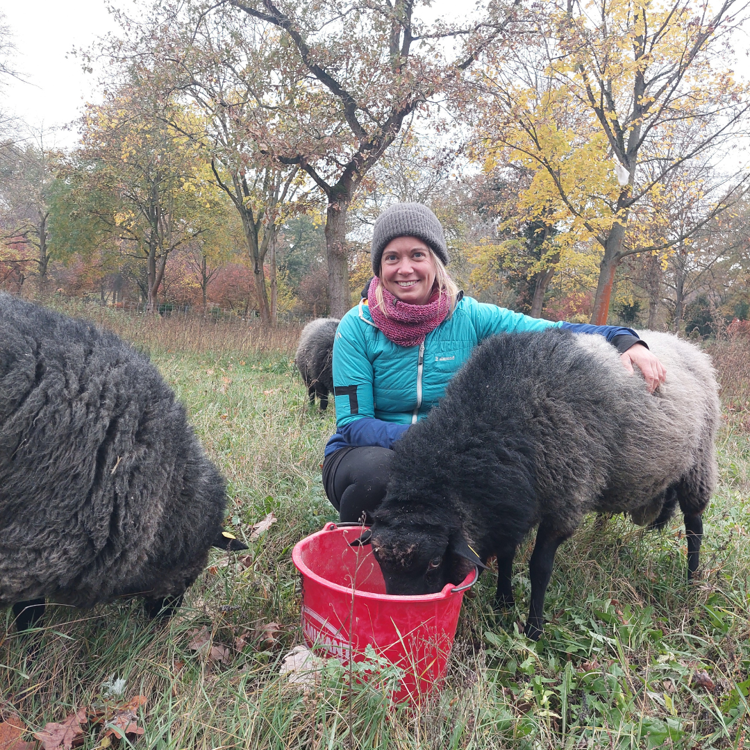Schäfchenzählen auf den Friedhöfen - 2