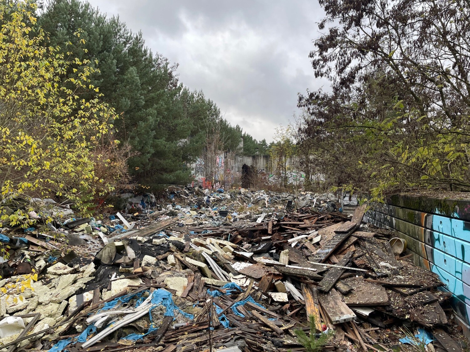 ehemaliges Reifenwerksgelände Schmöckwitz vor der Beräumung