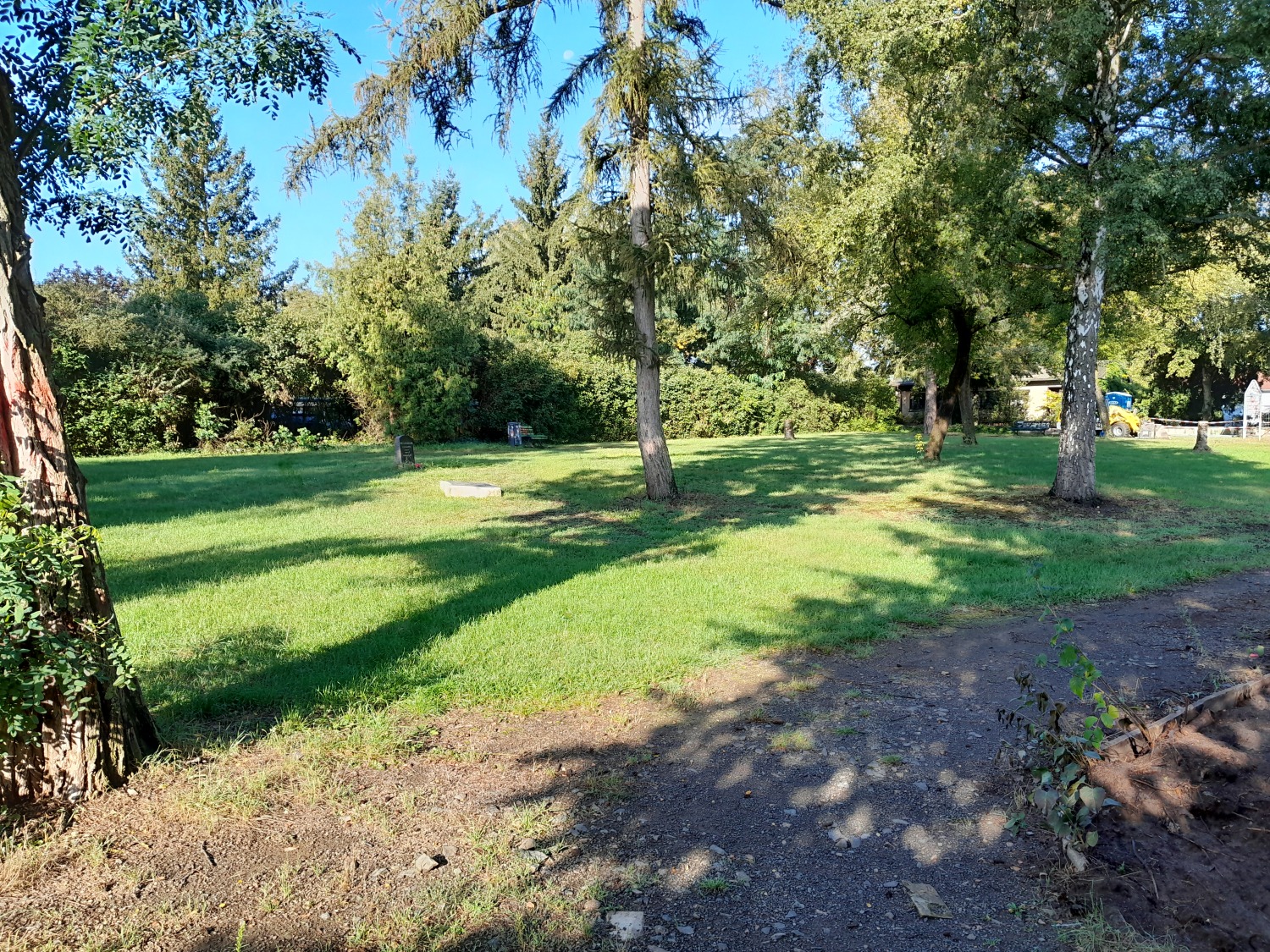 Grünanlage am Krampenburger Weg in Müggelheim im Sommer