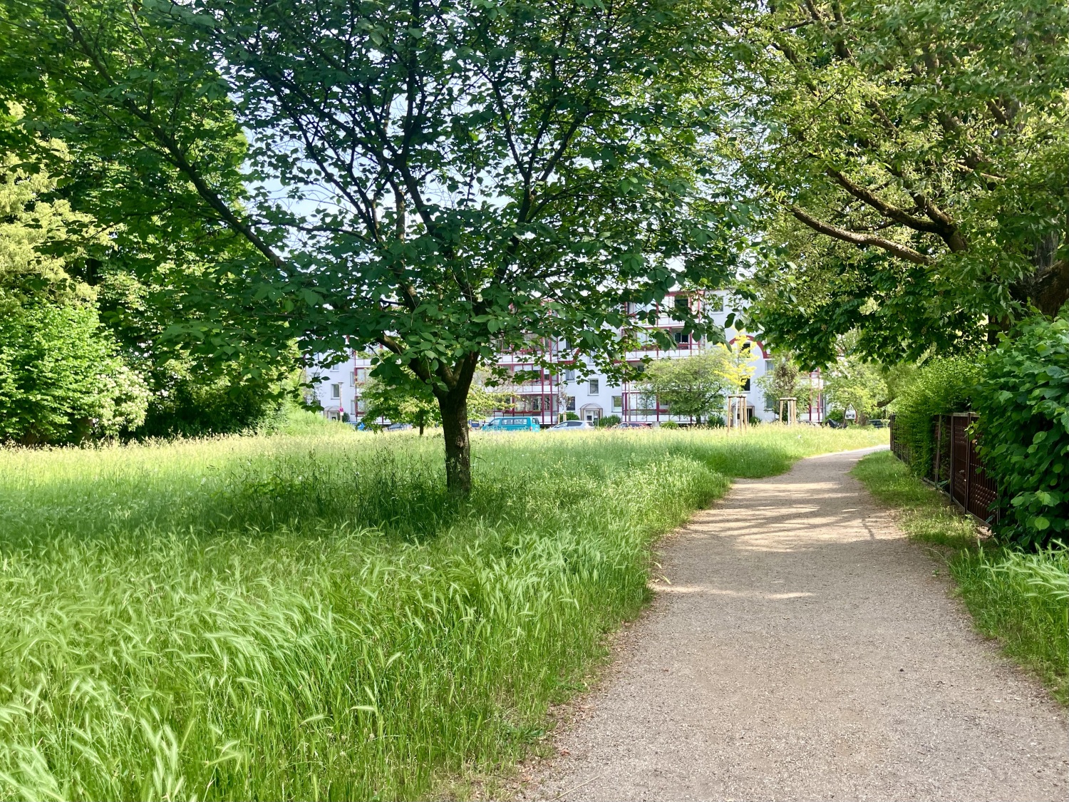 Grünanlage Galileistraße/ Orionstraße