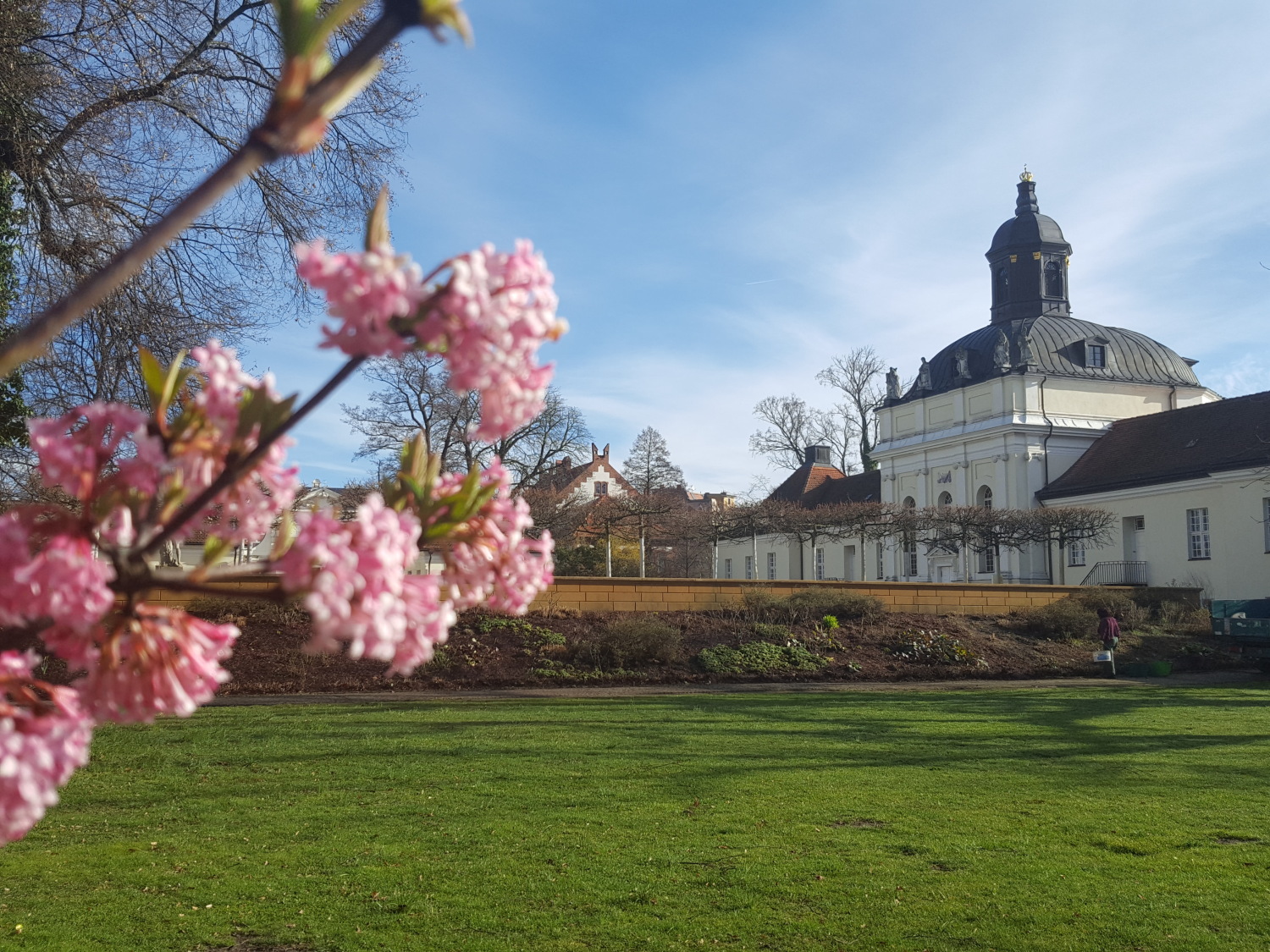 bezirksamt treptow köpenick schulpsychologisches beratungszentrum