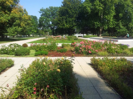 Rosengarten 2015