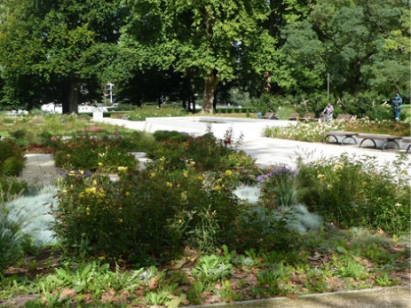 Rosengarten 2015