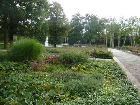 Rosengarten 2015