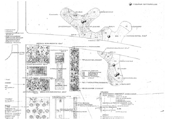 Rosengarten ca. 1968 Ausschnitt Pflanzplan