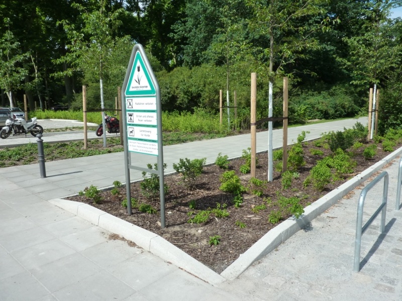 Nach dem Umbau: Mehr Platz für Fußgänger, Abstellmöglichkeiten für Fahr- und Motorräder