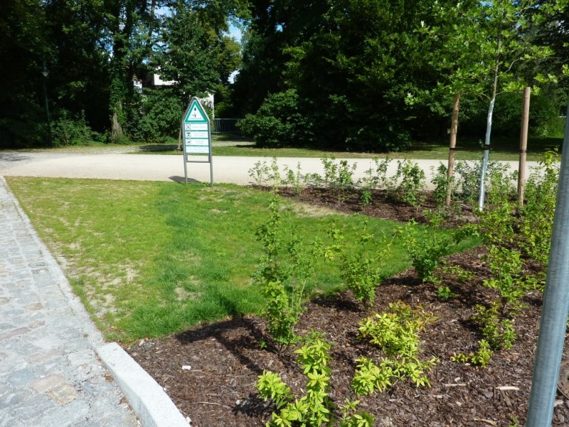 Der umgestaltete Parkplatz ist bei gleicher Kapazität kleiner – dadurch konnten Flächen entsiegelt und bepflanzt werden