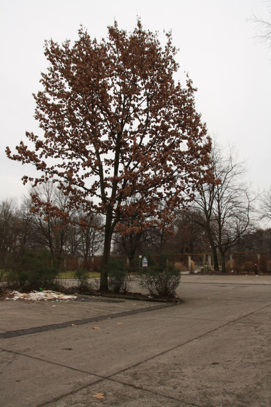 Beton so weit das Auge reicht im Jahr 2014