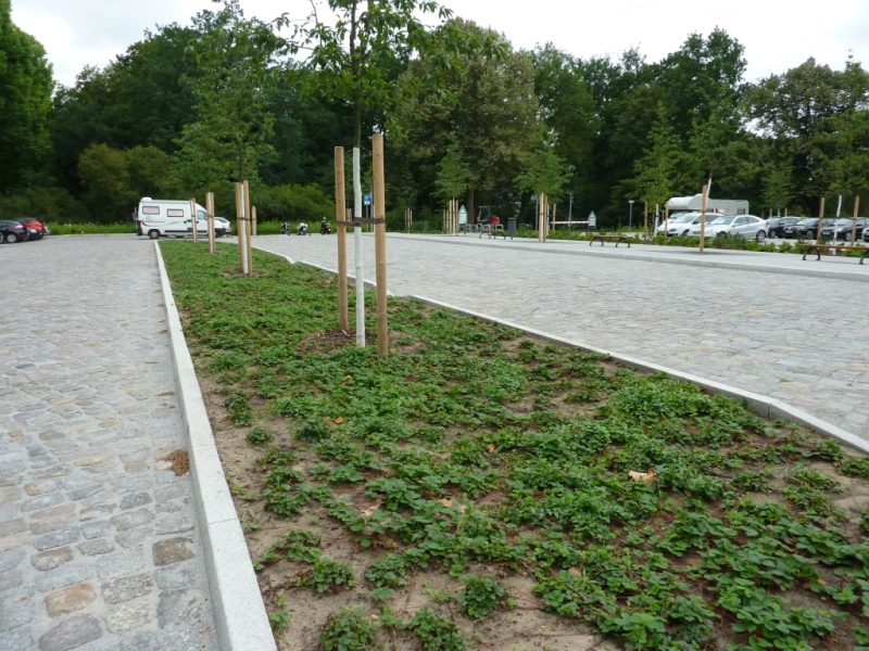 Der umgestaltete Parkplatz erhielt ansprechende Pflasterflächen und eine erweiterte Bepflanzung